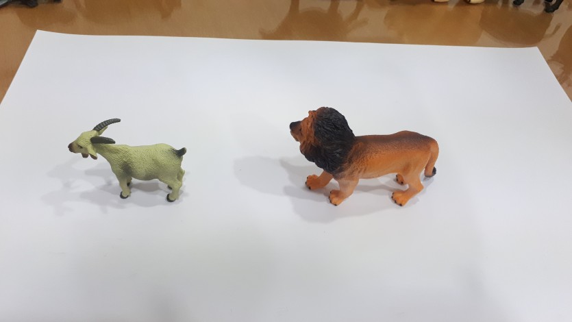 2e3d412b121a0170429ef8933823e476_1707900770_2141.jpg