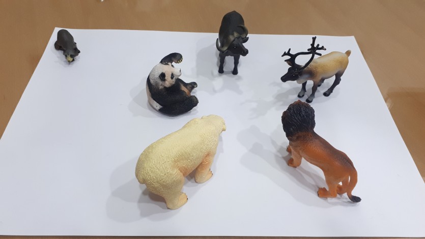2e3d412b121a0170429ef8933823e476_1707900771_5452.jpg